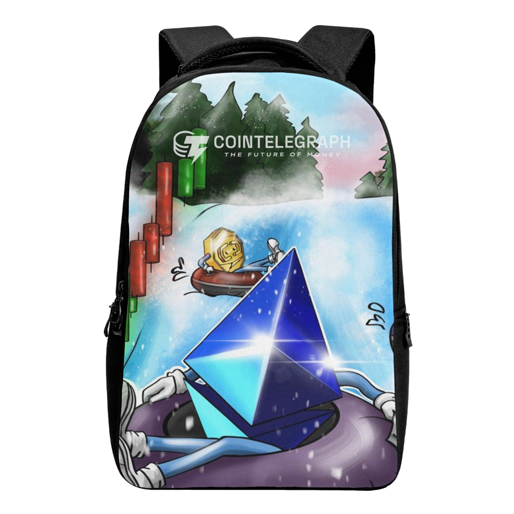 Ethereum Snow Day Laptop Backpack